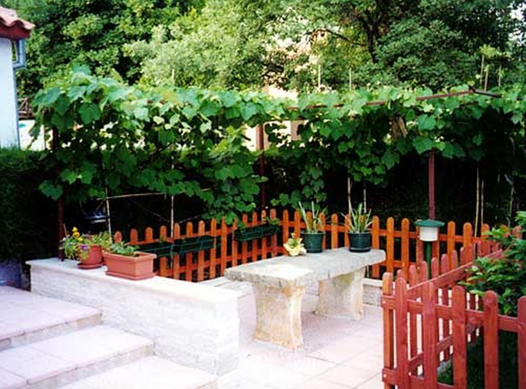 Apartment Felix Poreč Zewnętrze zdjęcie